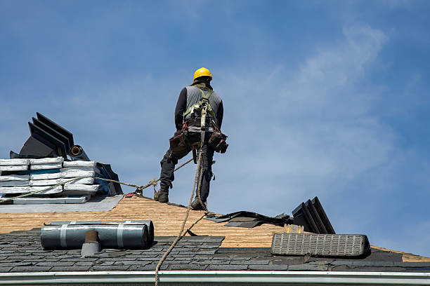 Professional Gutter Installation technician working in Trenton, NC